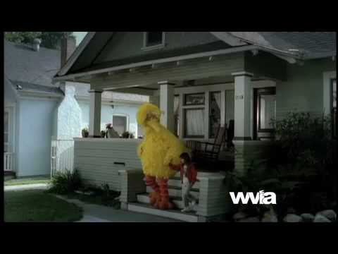 WVIA - Big Bird