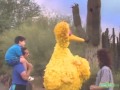 Sesame Street Wish You Were Here Phoenix Arizona