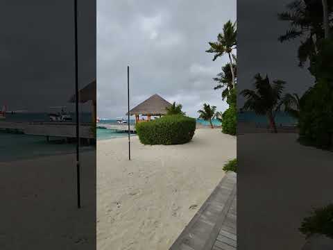 Rainy Season in Maldives #mobilevideography #rain #rainsounds #asmrsounds