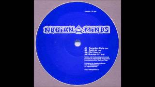 Nubian Minds - Forgotten Parts