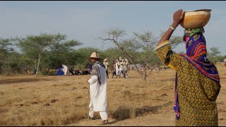 Sguardi 2024 (pt.1) - Migrazioni