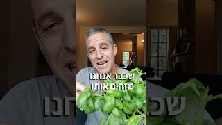 טיפ פשוט שיכול לעזור לגבעולים שהתקפלו לאחר שתילה להתרומם מחדש