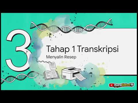 SINTESIS PROTEIN #SintesisProtein #BiologiSMA #Biologi #BiologiMolekuler #DNA #RNA #Transkripsi