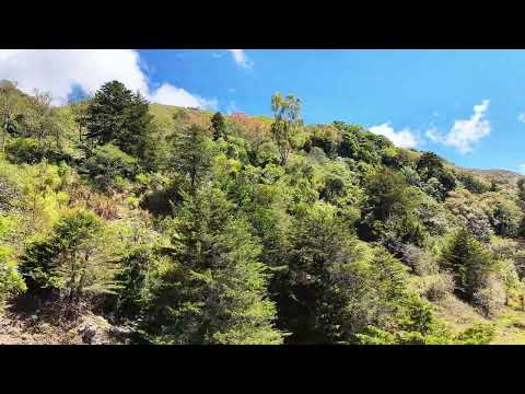 img-video