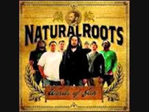 Natural Roots - Righteous woman