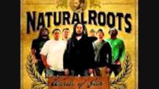 Natural Roots - Righteous woman