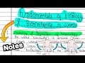 Fundamentals Of Kinesiology Biomechanics In Sports Notes Class 11 Ch 8 Edustudy Point