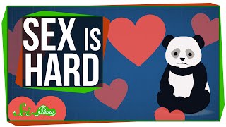 When Sex is Hard