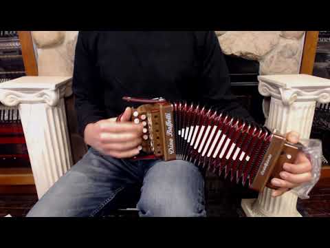 DINOART20G - Dino Baffetti Art. 20 Organetto G M 10 2 $799