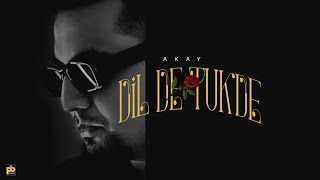 Dil De Tukde song artwork