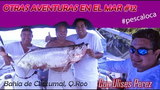preview picture of video 'CABEZA DE TOLOC ATACA DE NUEVO - En la Bahía de Chetumal #12'