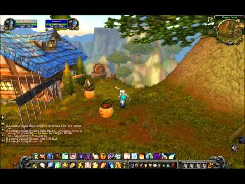 WoW 3.3.5 GM HOUSE EXPLOIT?