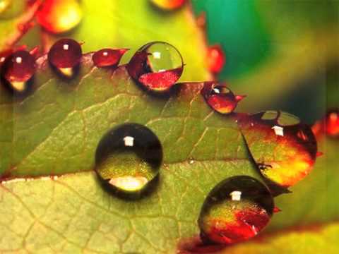 Rutter: Requiem - III. Pie Jesu (King's College Choir, Cambridge)