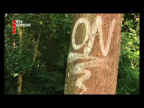 Mijdrechters zijn jongerenplek spuugzat