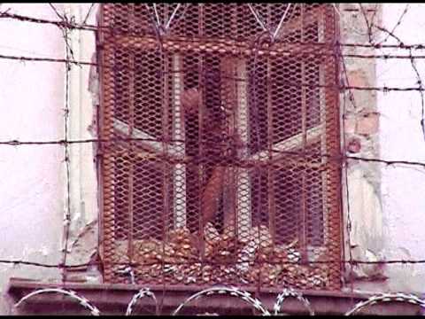 Firma-Słowo Na Ulicy