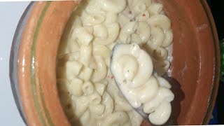 White Sauce Pasta Recipe😋