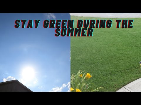 Summer watering tips/ watering lawn in summer heat