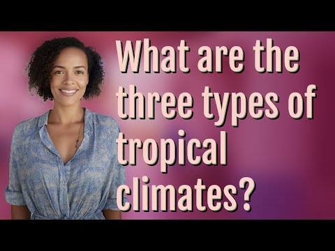 What are the three types of tropical climates?