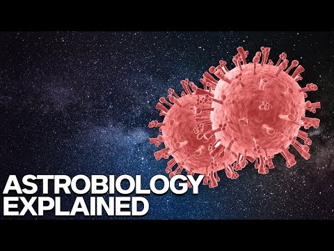 What Is Astrobiology Explained Digital Information Publishing