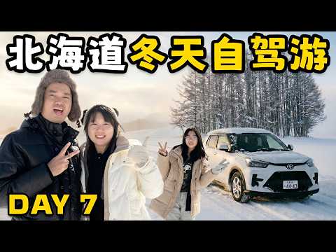(Day7) 日本北海道冬天自驾游 (旭川►苫小牧) 七星之木/美瑛圣诞树/上川神社/四季之塔/白金青池/味的大王总本店