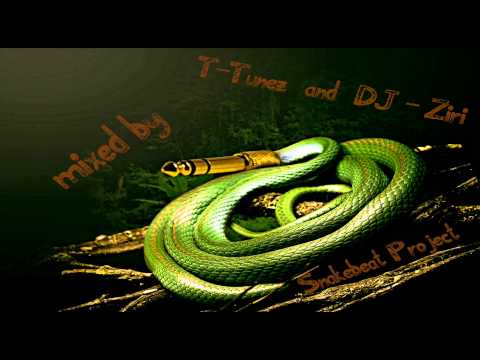 Snakebeat Project Special Mix # 4 T-Tunez vs. DJ - Ziri