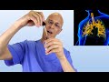 1 Drop Cleanses Lungs Reduces Mucus Improves Airflow Dr Mandell