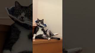 暑いですよね