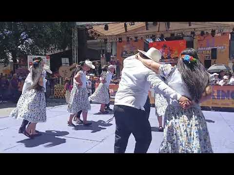 Puerto Rondón (Arauca) en el 24° Joropódromo del Torneo del Joropo 2025 en Villavicencio