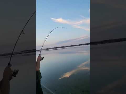It's Not A Fishing Video Without A Missed Fish . (Margo Lake)