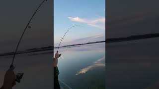 It's Not A Fishing Video Without A Missed Fish . (Margo Lake)