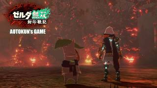ゼルダの伝説が好きすぎる人間が初見プレイする【ゼルダ無双 封印戦記】【ゲーム実況】#12