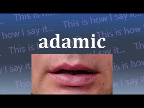 This is How I Say...adamic
