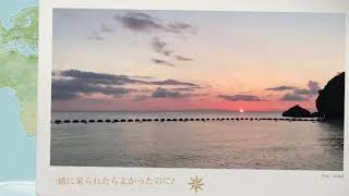 沖縄だー