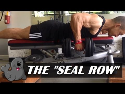 The &quot;Seal Row&quot;: A Unique Exercise For A Bigger Back