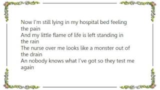 Fury in the Slaughterhouse - The Brainsong Lyrics