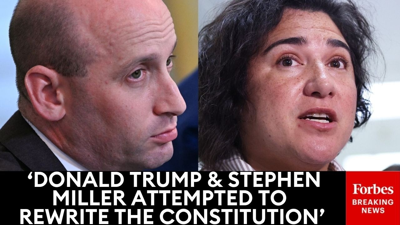Video: House Democrats launch task force to defend 14th Amendment against Trump birthright citizenship order