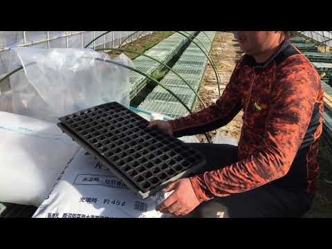 園芸 播種用の設備は何ですか?