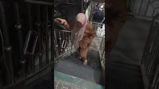 Download lagu perjuangan mamak yang hamil 9 bulan naik tangga untuk periksa mp3