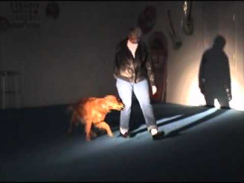 Rockin', Rollin' and Twistin' the Night Away.mpg