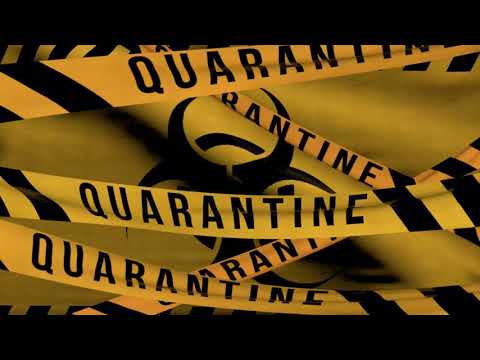 Lucian Base Quarantine Deep House Lounge Mix 2020 #1