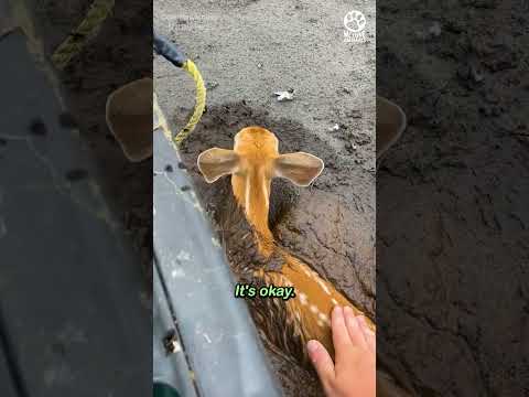 Such a brave guy 👏