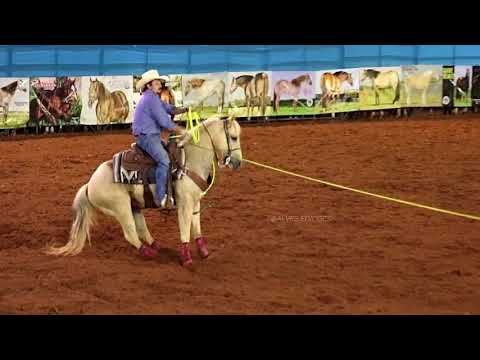 download lagu mp3 mp4 Atletas Team Roping, download lagu Atletas Team Roping gratis, unduh video klip Download Atletas Team Roping Mp3 dan Mp4 Popular Gratis