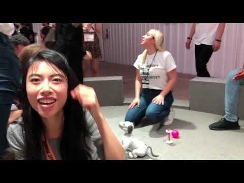 Aibo Puppy Robot @SONY #SXSW19 Plays Dead