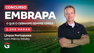 Concurso Embrapa | O que o Cebraspe Sempre Cobra em Língua Portuguesa