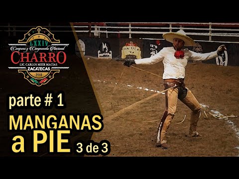 Part 1 MANGANAS ON FOOT 3 of 3 - Zacatecas Congress 2018