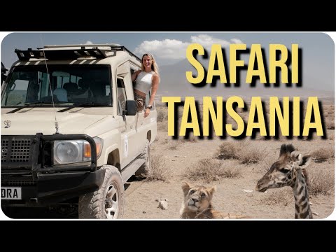 Die beste SAFARI in Afrika?! • SERENGETI TANSANIA (inkl. Great Migration)