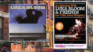 An Irishman in Chinatown by Luka Bloom