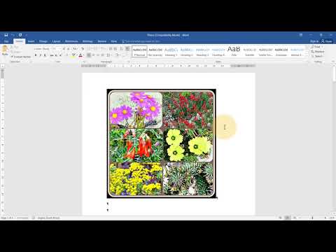 Word Gr 11 3.2 Section breaks & page numbers
