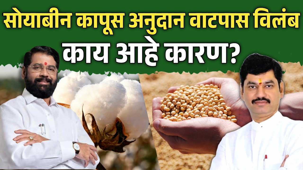 सोयाबीन कापूस अनुदान वाटपास विलंब, जाणून घ्या काय आहे कारण? | Soyabean Kapus Anudan Watap