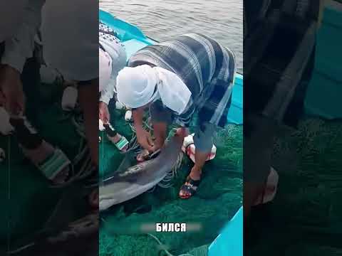 Поплавок обрекал бедное животное НА ГИБЕЛЬ ✨🆘☠️